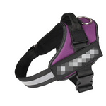 Safety Dog Harness