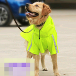 Spring and Summer Dog Raincoat