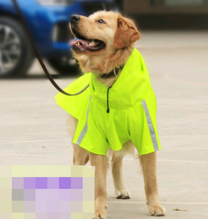 Spring and Summer Dog Raincoat